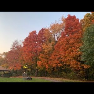 Meet your Posher, Kari